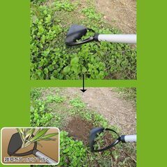 大進 伸縮式 雑草削る君 1号 草削り 立ったまま 草むしり用品 雑草 処理 草かり 草むしり 草取り 庭 庭園 園芸 自宅 公園 園芸用具 雑草削るくん コンパクト 軽量 軽い お手軽 女性 安全 駐車場 草 くさ 草刈り 除草 レーキ 金属 鍬の画像