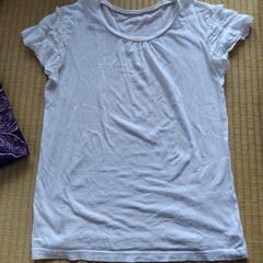 【150】Ｔシャツの画像