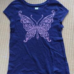 【150】Ｔシャツの画像