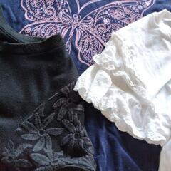 【150】Ｔシャツの画像