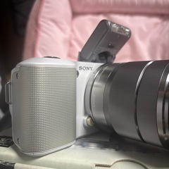 sony α NEX-3の画像