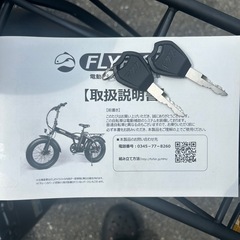 フライフィッシュ電動！の画像