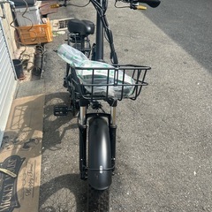 フライフィッシュ電動！の画像