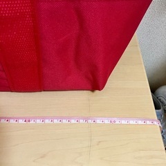 ロピアクーラーバッグの画像