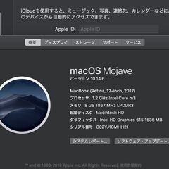 MacBook（Retina,12インチ,2017）256GB/8GB〈MNYF2J/A〉④の画像