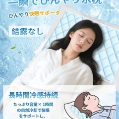 ⭐️新品未開封⭐️28℃で自然凍結⭐️アイス枕 氷嚢 冷却マット ひんやり 35×25cmの画像