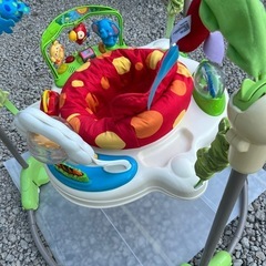 レインフォレスト・ジャンパルーの画像