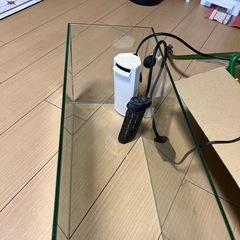 大型水槽
の画像