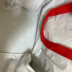 Costco クーラーバッグの画像