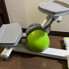 【正規品】東急スポーツオアシス　ルネサンス ステッパー ツイストステッパー SP-100の画像