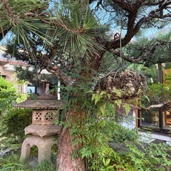 石灯籠の画像