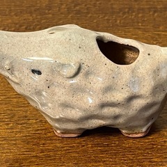 かわいい猪の爪楊枝入れの画像