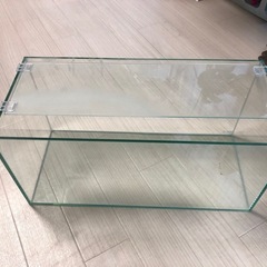 GEX、水槽の画像