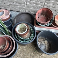 植木鉢　プランターの画像