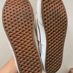 コンバース　converse バンズ　vans スニーカー　メンズスニーカー　27の画像