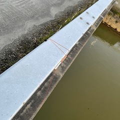 手作り　ウナギの置き針　10個セット　　の画像