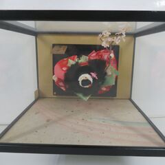 置物 ガラスケース付き 寿美礼作 日本人形 市松人形 「春の宴」 幅46.5cm×奥行32.5cm×高さ47cmの画像