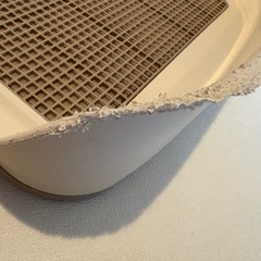 難あり　ペット　トイレトレー　ワイドサイズ　壁高の画像
