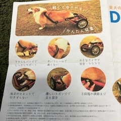 dog walkerの画像