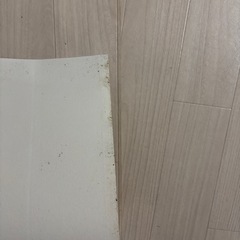 【お渡し予定者あり】クッションフロア　の画像