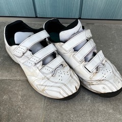 ミズノ　トレーニングシューズの画像
