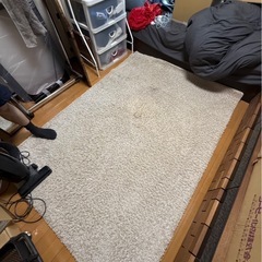 ラグ　ライトグレー（白に近い）の画像