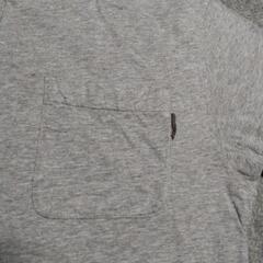【FREUDE】Ｔシャツの画像
