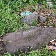 庭石の画像