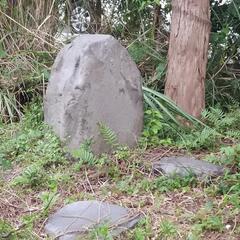 庭石の画像