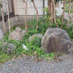 庭石の画像