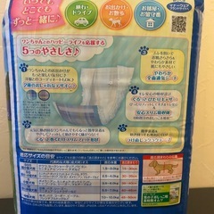 【犬用おむつ・マナーウェア 2点セット】の画像