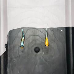 🐥飼育場を拡大しました🐥の画像