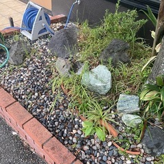 黒木と石差し上げますの画像