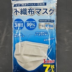 不織布マスク 19セットの画像