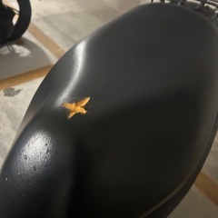 アドレスv50の画像