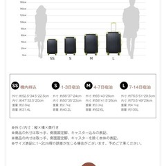 機内持ち込み可能スーツケースの画像