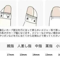 ネイルチップ  　マグハーフの画像