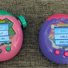 たまごっちパラダイス　2個セット　タマラボファイル　ほーほっちシールつき　の画像