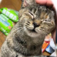 人が大好き甘えん坊　みーちゃん！