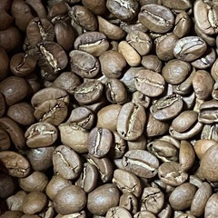 ラオス コーヒー豆 100g 浅煎りの画像