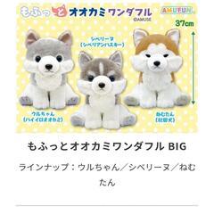 秋田犬のぬいぐるみの画像