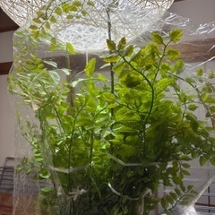 人工観葉植物・造木（2本セット）の画像