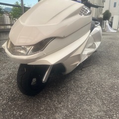 マグザム　の画像