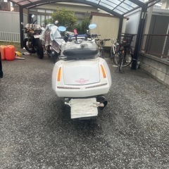 マグザム　の画像