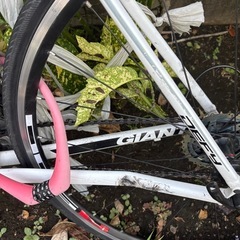 自転車に突っ込まれた自転車　パーツ取りなどの画像