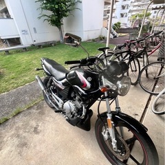 ヤマハ　YBR125の画像