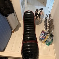 バイクシートの画像