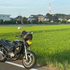 ZZR250 ネイキッド仕様の画像