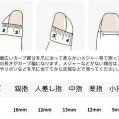 ネイルチップ　マグ　調合色の画像