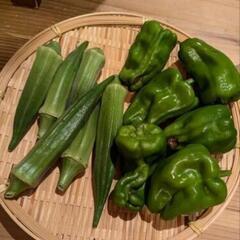 色々トマト500㌘夏野菜1種セットの画像